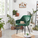 Jídelní židle, sametová čalouněná židle s područkami, zelená
